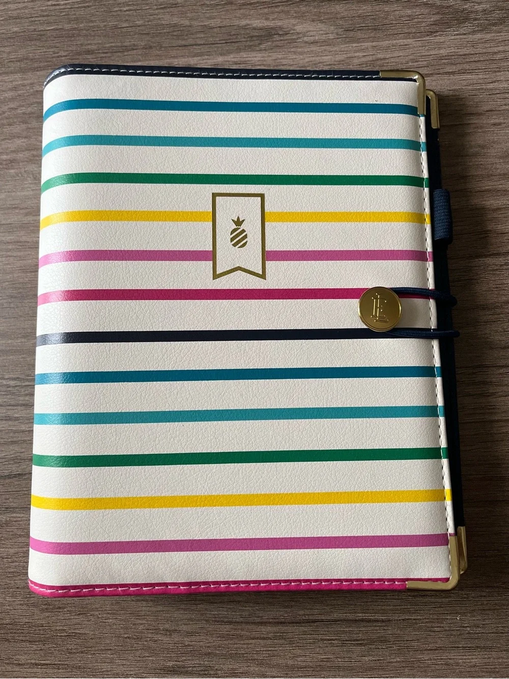 Emily Ley Happy Stripe Faux Pebbled Leather 7 Ring Planner Organizer Cover